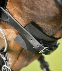 Waldhausen Trensenzaum Unterlegpolster schwarz Sale