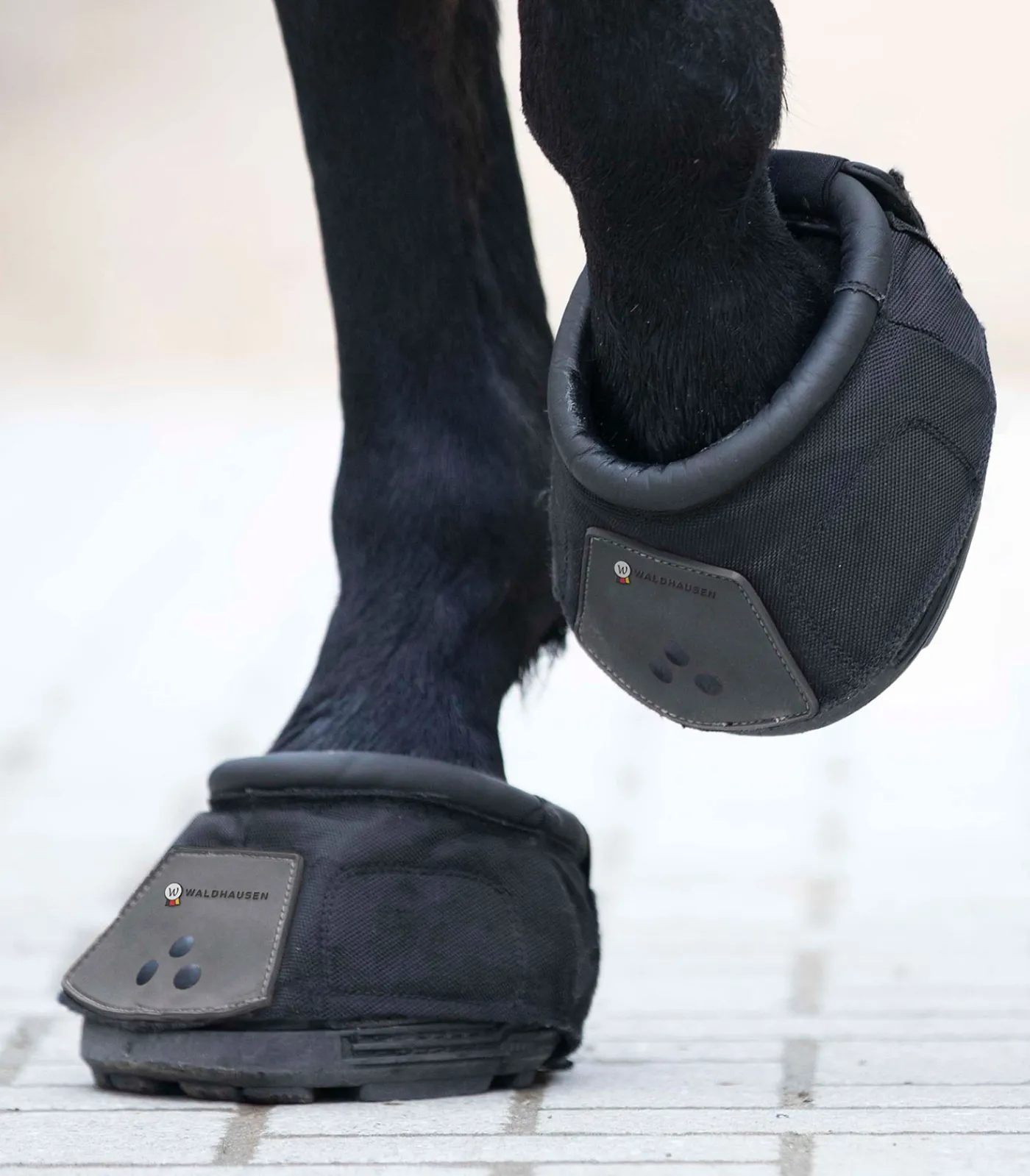 Waldhausen Huf- und Krankenschuh, Stück schwarz